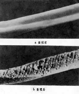 ��������Ч��