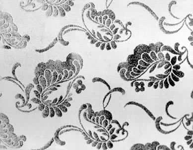 ������Ƭ