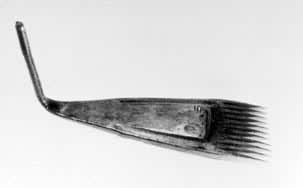 ͼ1����״��γ��