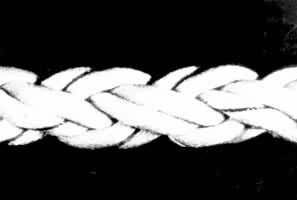 8 �ɱ������