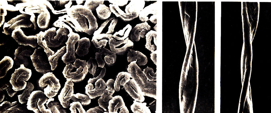 ����ά�����ң�����ά�ĺ�������������