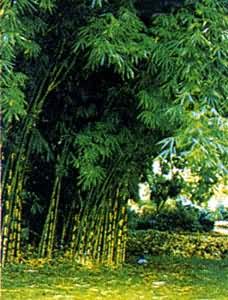 ������ά���ϣ���