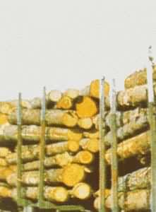 ������ά���ϣ�ľ��