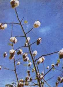 ������ά���ϣ�ľ��