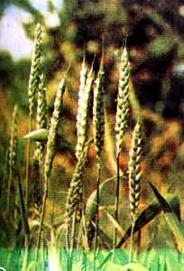 ������ά���ϣ����