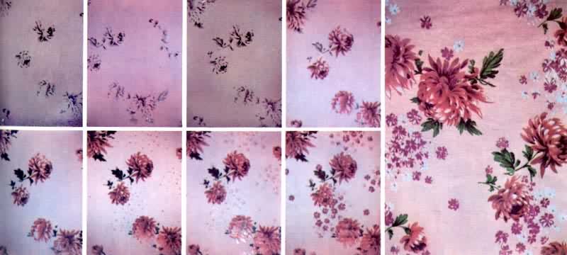 8��ɫͼ��ӡ��ʾ����ӡ�ƹ����е��װ�˳�������ˮϴ���ӡ����Ʒ