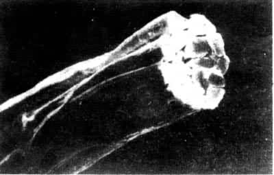 ��˿�����κͽ���