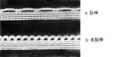 ��֯�ɽ���