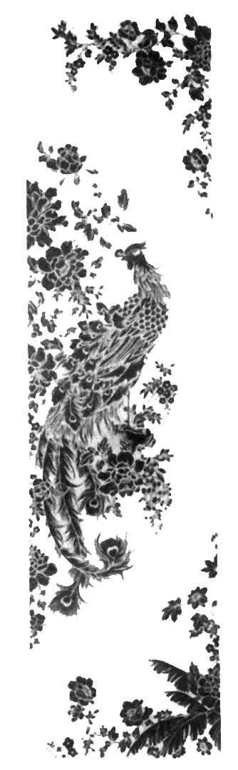 ͼ5����������