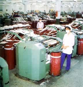 ����ļ�����ë�ĵĳ�ɴ���̣����������ά�����Ƴɾ�������