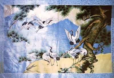 ����ޱڹң��ɺ�