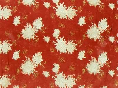 ��˿֯����