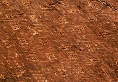 ������Ȧ����ԭΪ�������塱�޽����ϵ���Ե����������ʡ��ɳ������һ�ź�Ĺ����������ʡ����ݲأ�