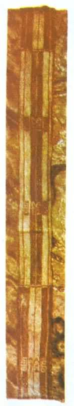 �����������塱���ף�����ʡ��ɳ������һ�ź�Ĺ����������ʡ����ݲأ�