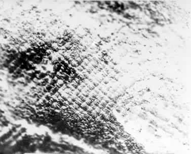 ͼ2��޻�ǳ���ͭ���ϲд�˿֯Ʒ