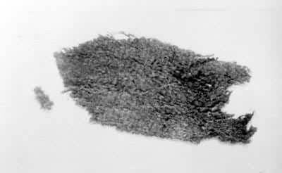 ͼ5��޻���̴���ַ�����Ĵ���