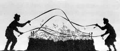 ͼ2��Ƥ����ë