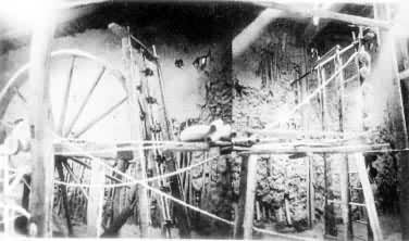 ͼ4��ά�������12����ĳ���ëɴ