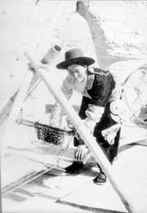 ͼ5����֯��֯ë��