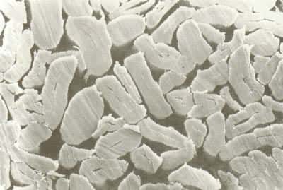 ������ά�ĺ����