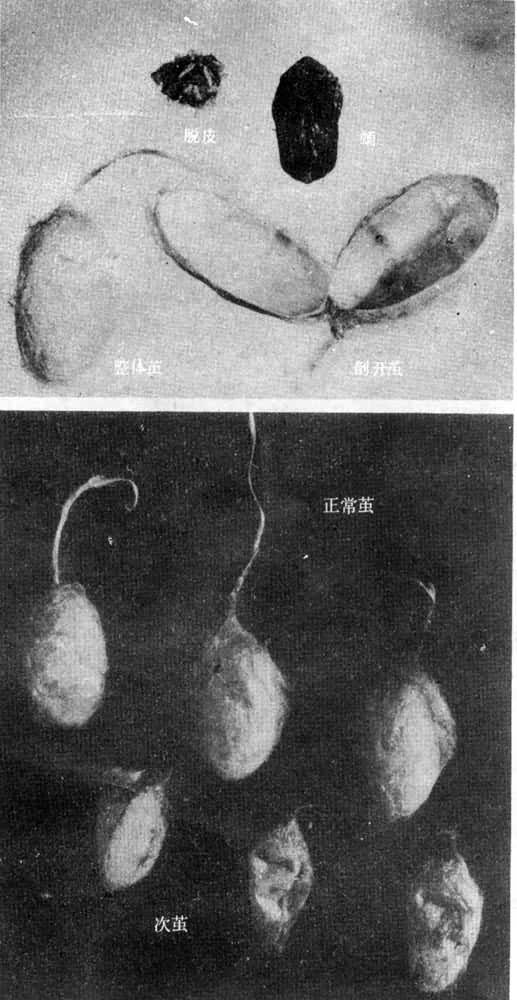 ͼ1�����ϼ�