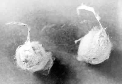 ͼ2�����ϼ��ڲ��ṹ