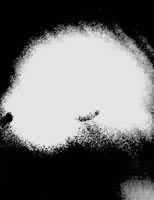 ͼ ����Զ�������