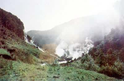 �й���������������鴬���ں���Ͷ�ź���������