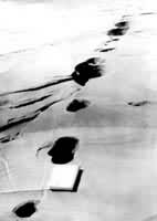 1976���й���ɽ����ʱ������ðˮ����