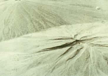 1979���й���������6�����𣬳�����ɳðˮ����