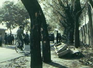 ��ɽ�нֵ��ĵ����������