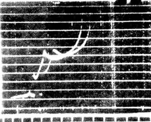 ����ͼ��������ΪƵ�ʣ�������Ϊ���