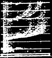 ͼ2 ��չFƵ��ͼ