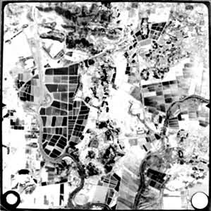 ������Ƭ��ȫɫƬ��