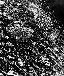 ͼ3 ľ������������ͼ�