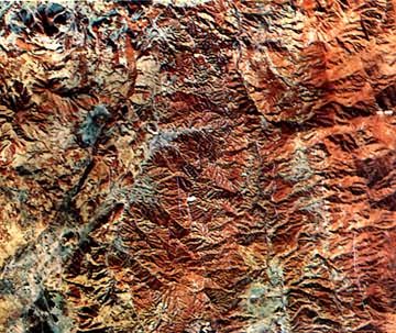 �й��ڳ�����ĺ�����Ƭ