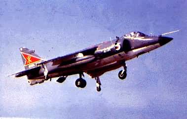 ����Ÿ����ֱ����ɻ�