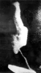 ��һ����̫��Ʈ���ĺ���Ա�ĵ���ͼ��