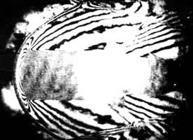 ˫�ع�ʺ�ȫϢ������Ƭ��������Ϊ5