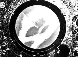 �״�̽����ױ��껷