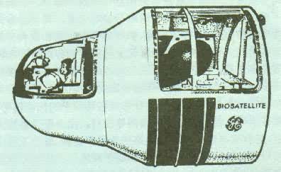 ����1966�귢��ġ��������ǡ�