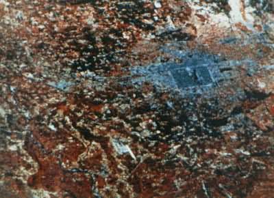 ������������ң����Ƭ