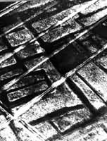 ����ң�л�õĹŴ�����ˮ���ż����ִ�ũ����ˮ���ݺύ��