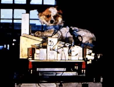 С������ǰ��������