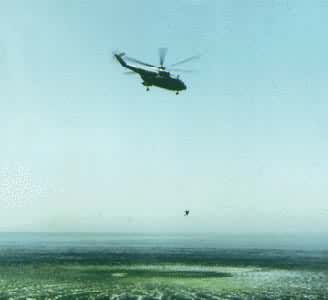 ������ղ�