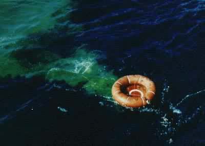 ���˴�����ҵ