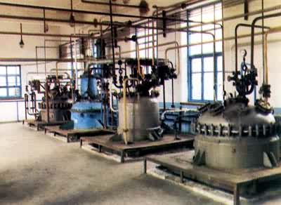 ����ϵ�б�����Լ���������