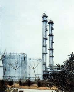 ��ϩ������