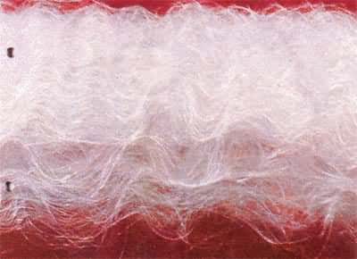 ������ά