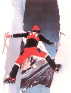 ������ά��ǿ���������ĵ�ɽ���Ʊ���